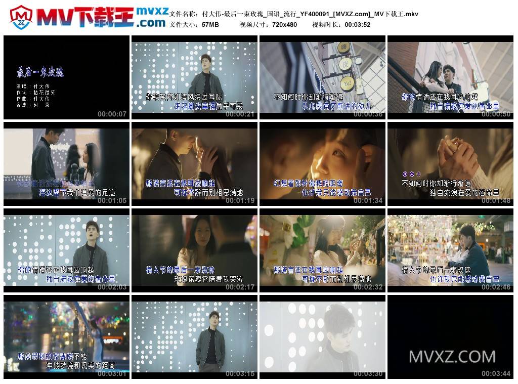 付大伟-最后一束玫瑰_国语_流行_YF400091